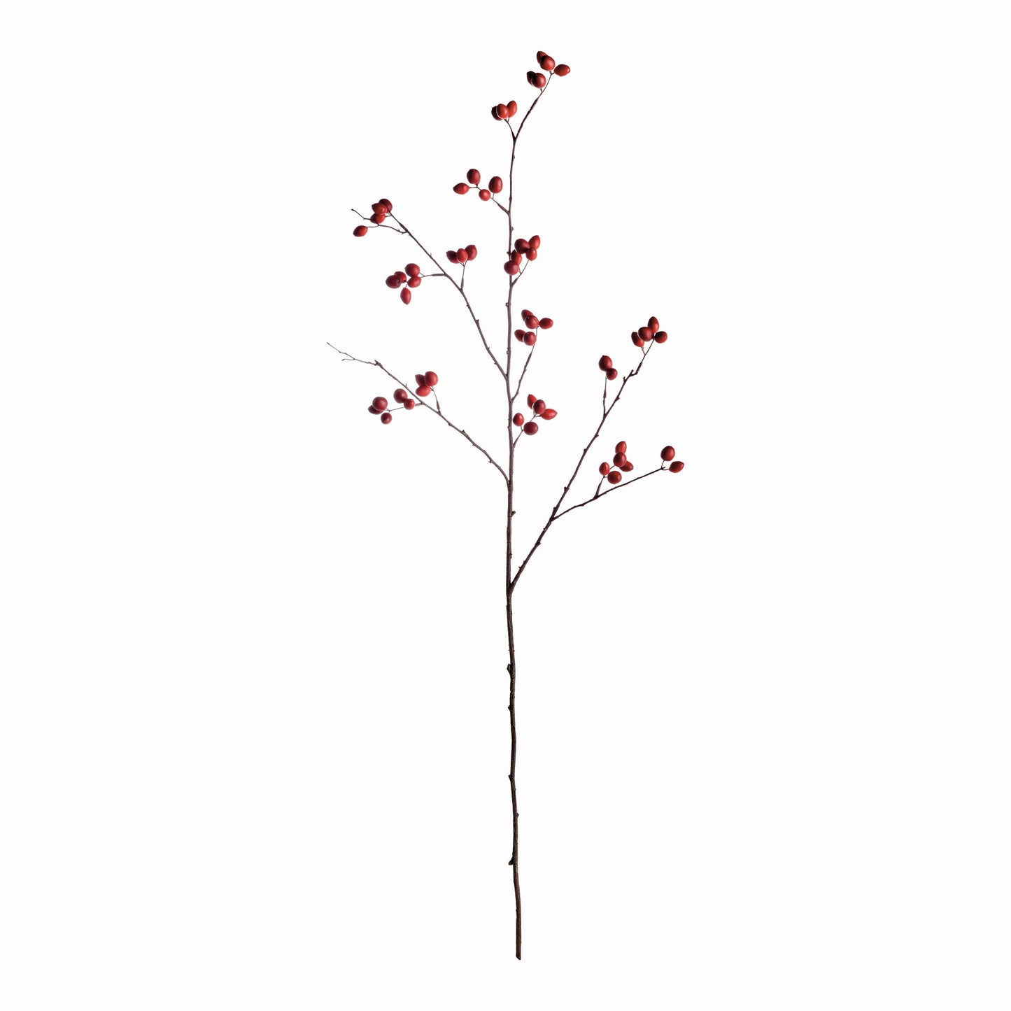 Rosehip Branch