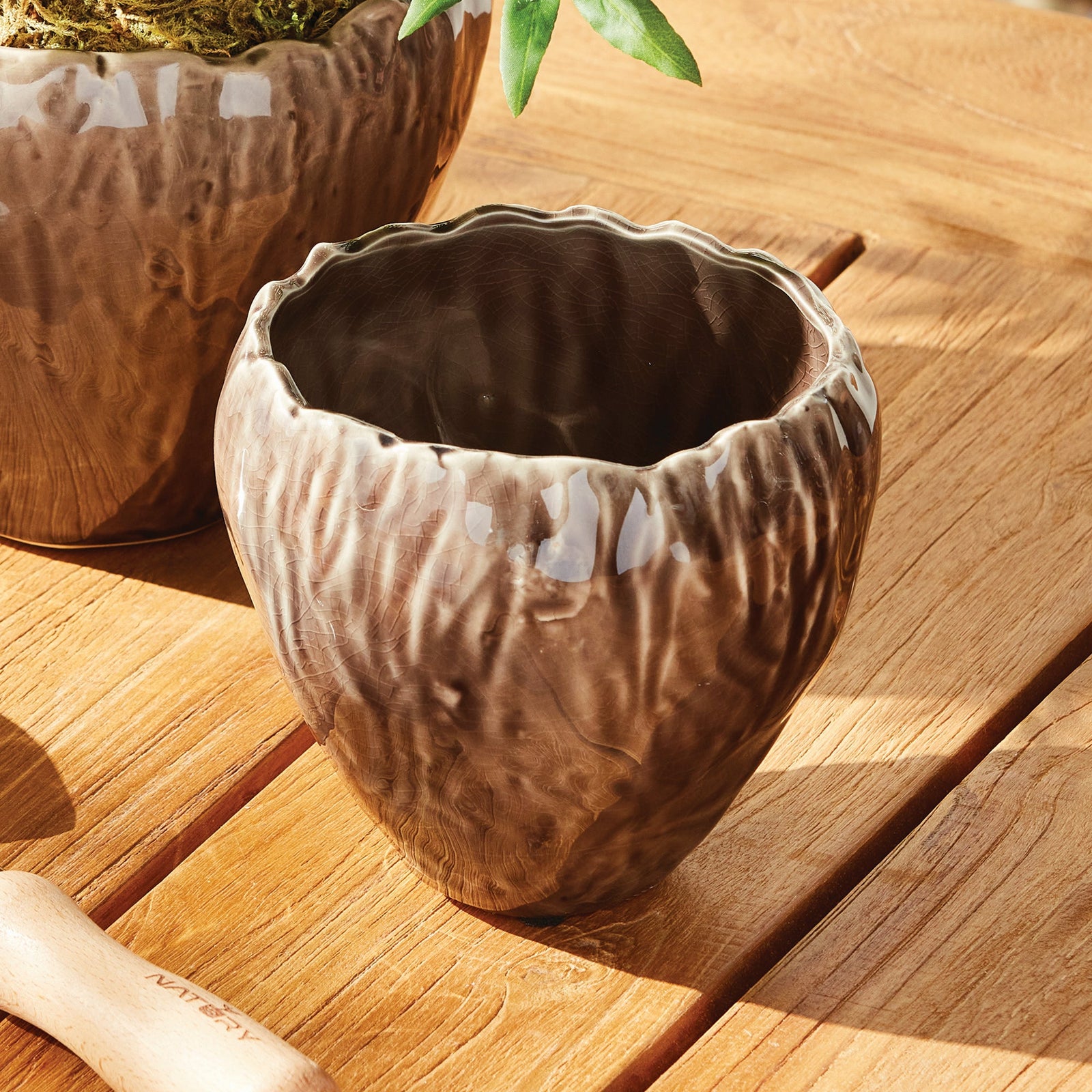 Pots + Plants