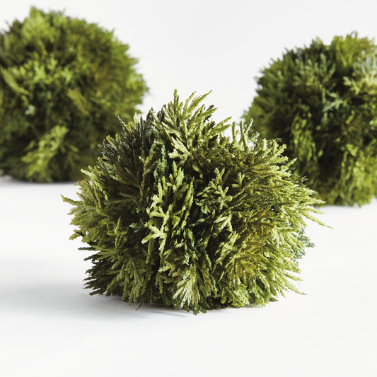 Cypress Orb - 3 Sizes