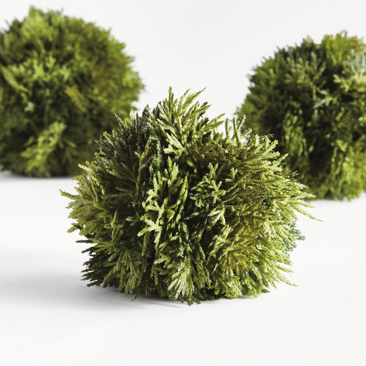 Cypress Orb - 3 Sizes