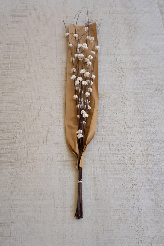 Bundle of 20 Sola Bells