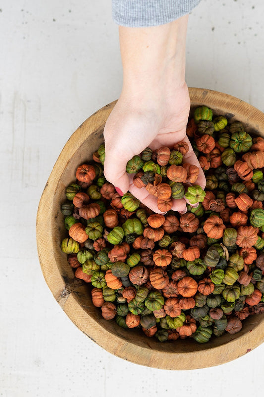 Orange and Green Putka Pods