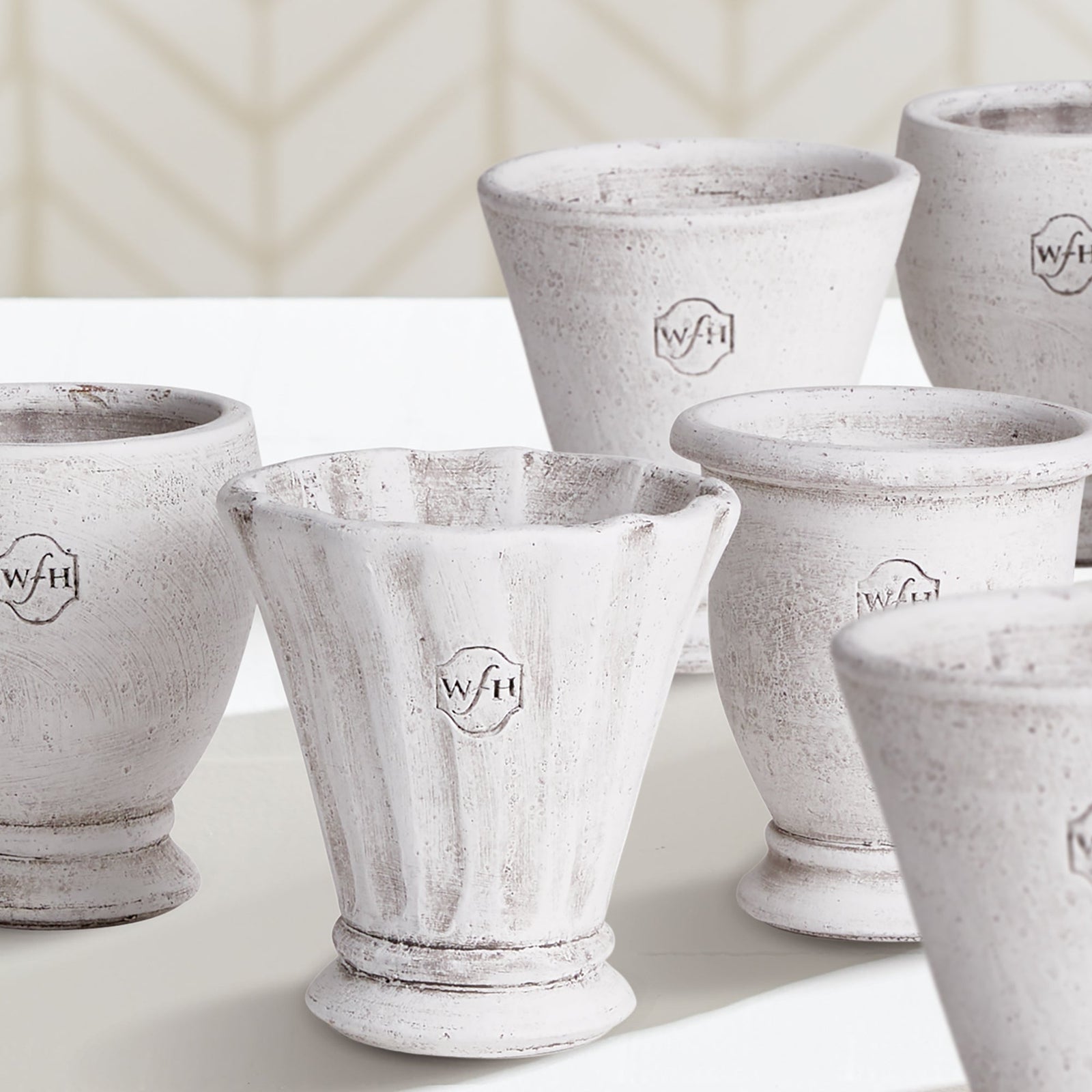 Pots + Plants