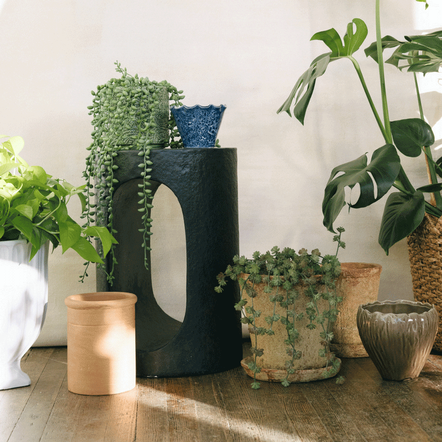 Office + Library Furniture