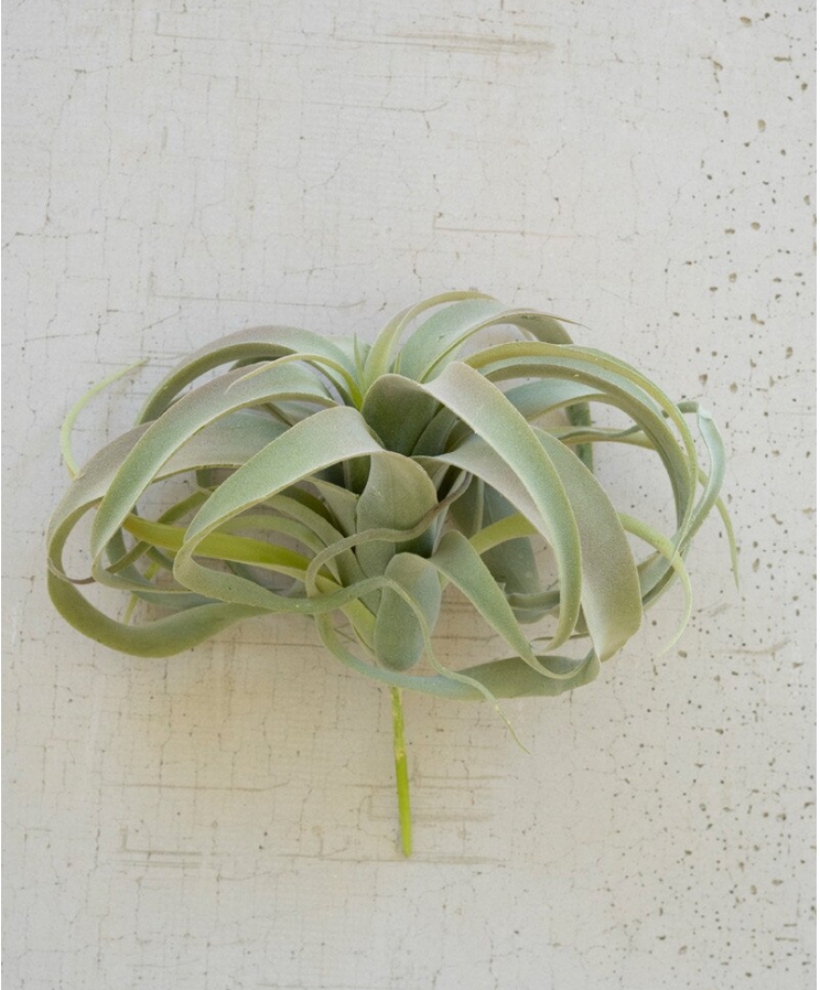 Pots + Plants