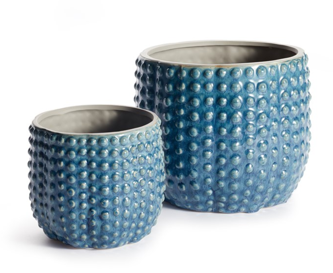 Urchin Pot w/ Neon Pothos - Small
