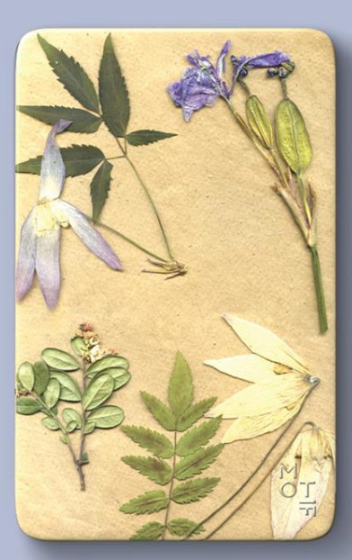 Vintage Blooms Sugar Free Peppermints