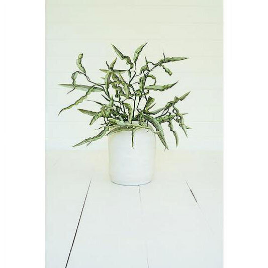 Botanica #2682