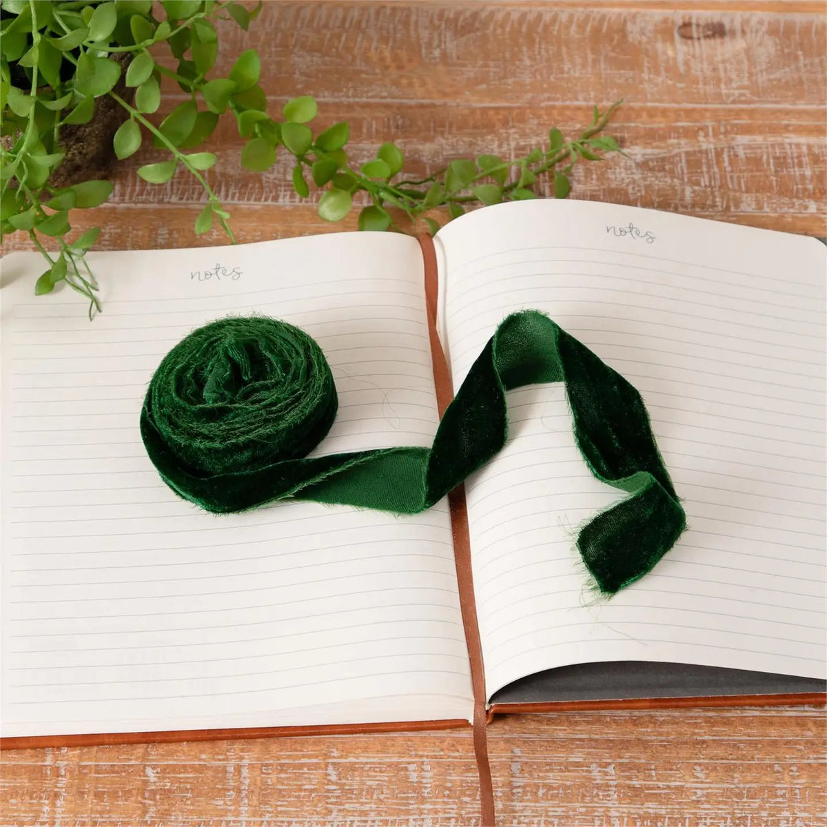 Raw Edge Velvet Ribbon - Five Colors