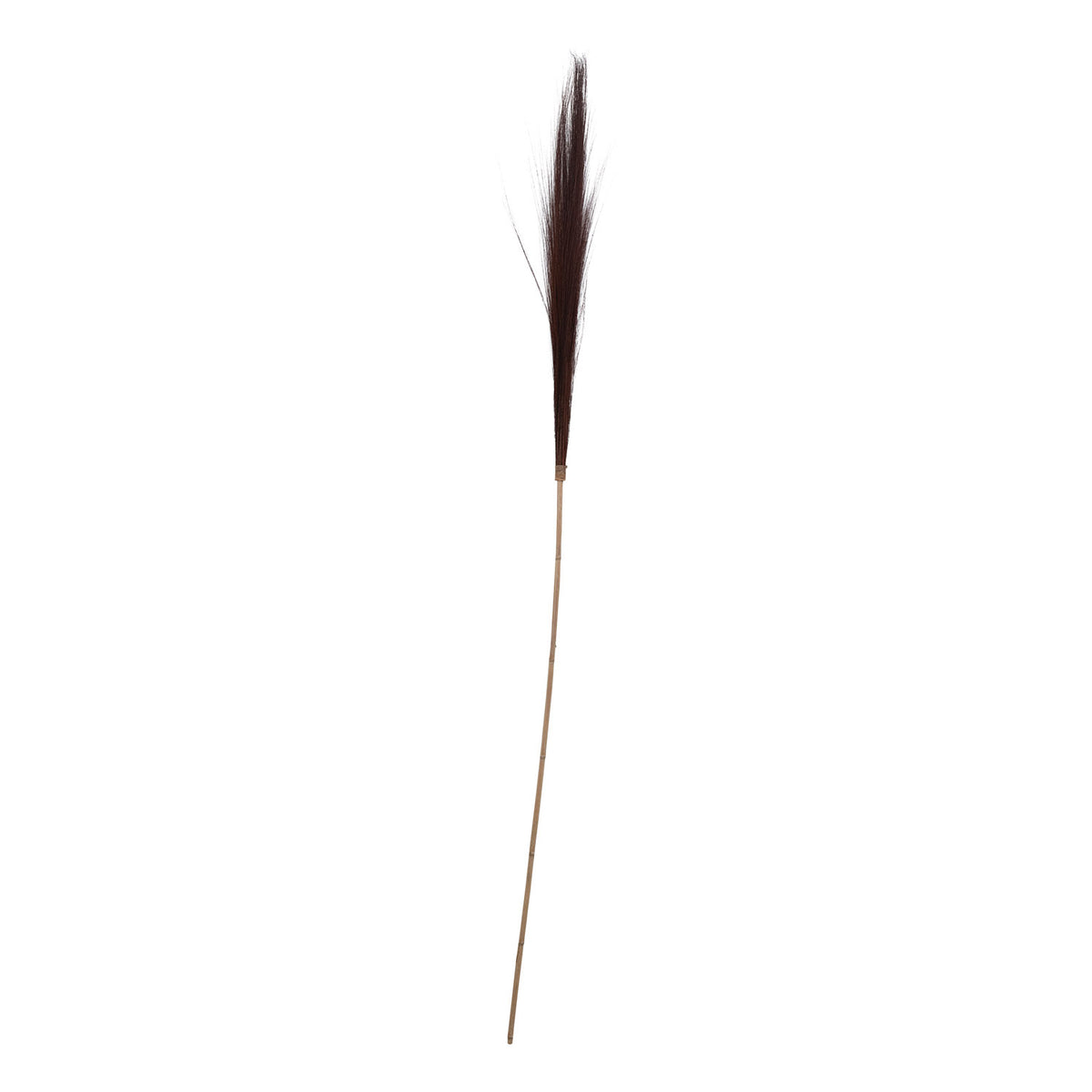 Dried Natural Tiger Grass