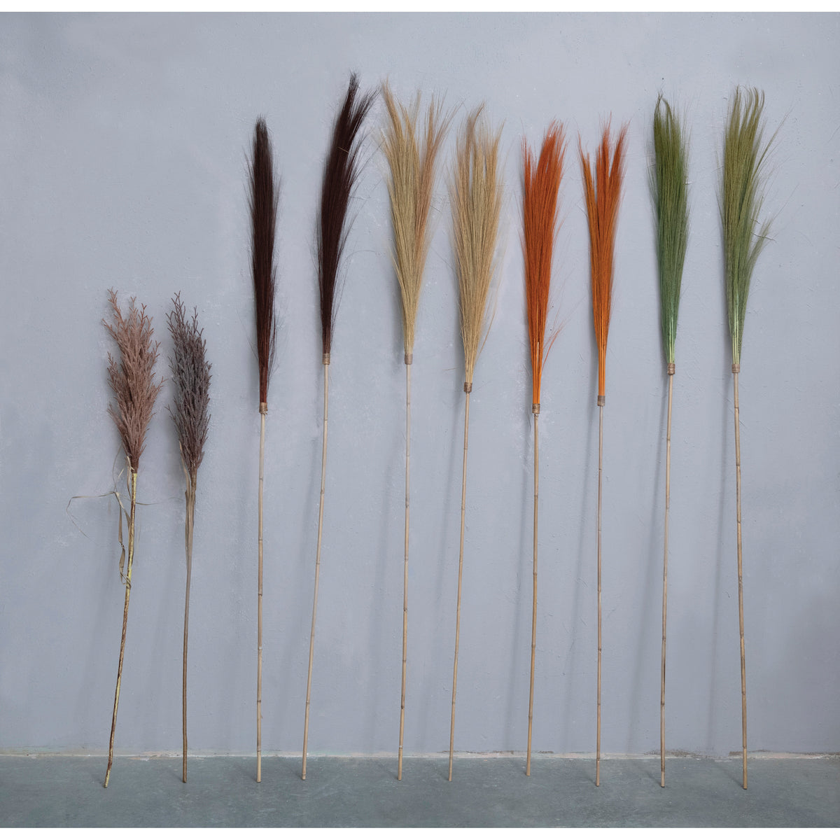 Dried Natural Tiger Grass