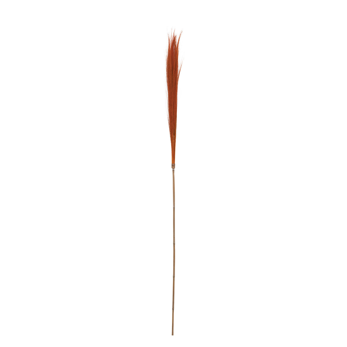 Dried Natural Tiger Grass