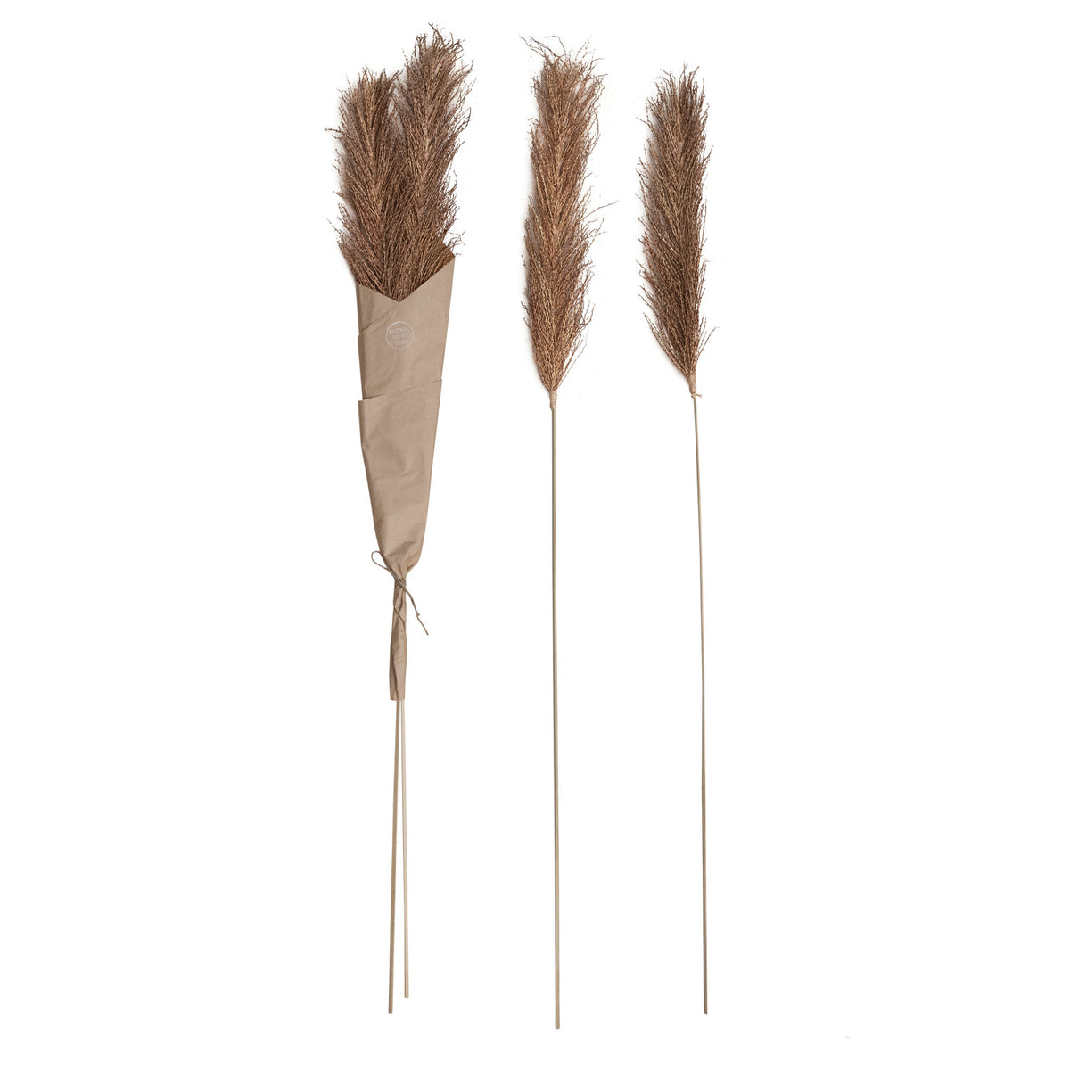 Dried Natural Date Palm Bunch