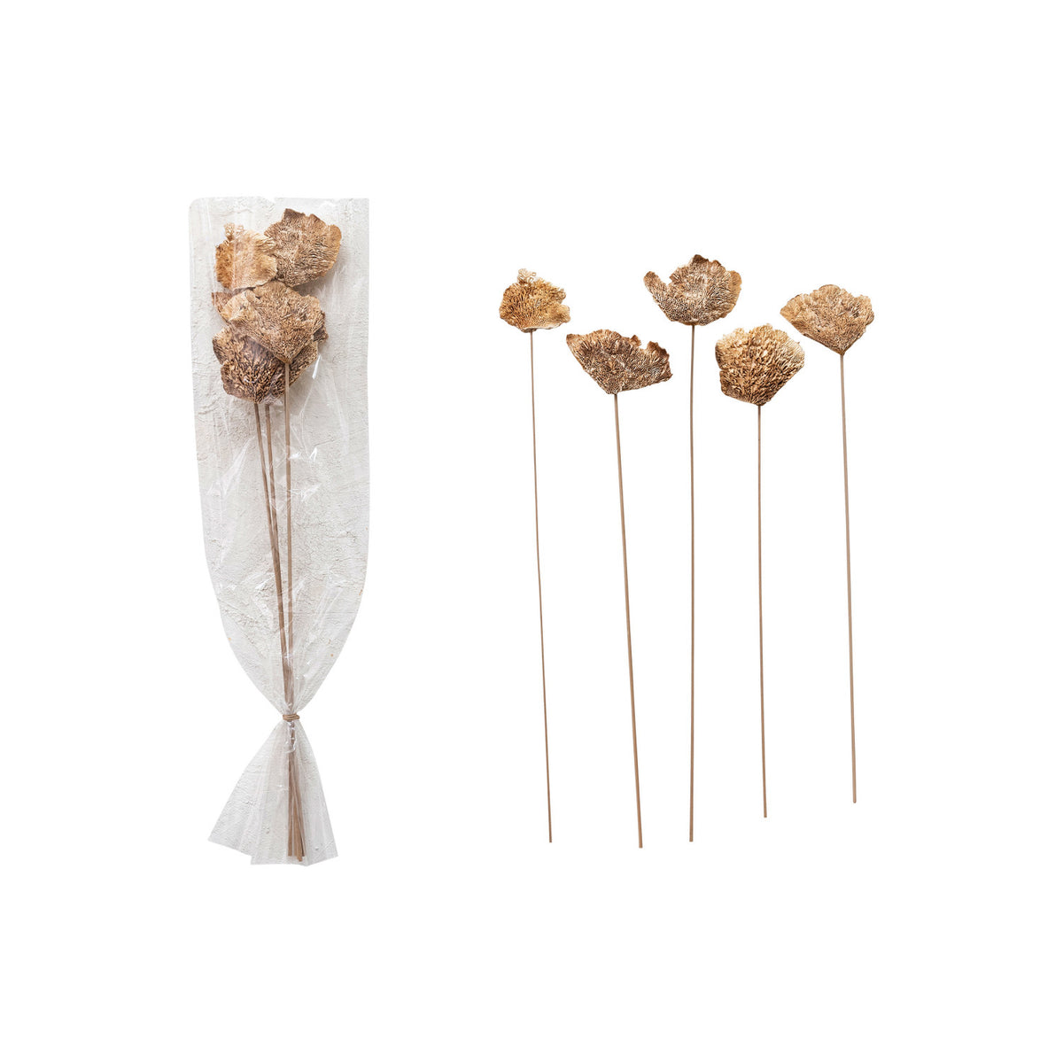 Dried Natural Mushroom Bunch
