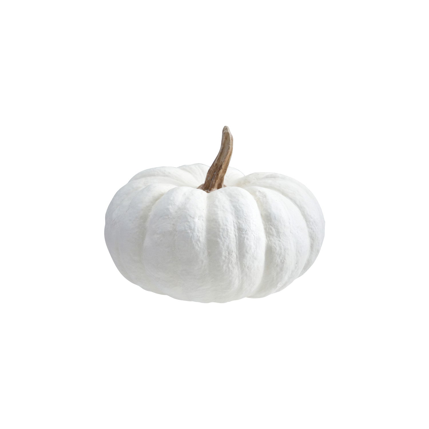 Fall Collection