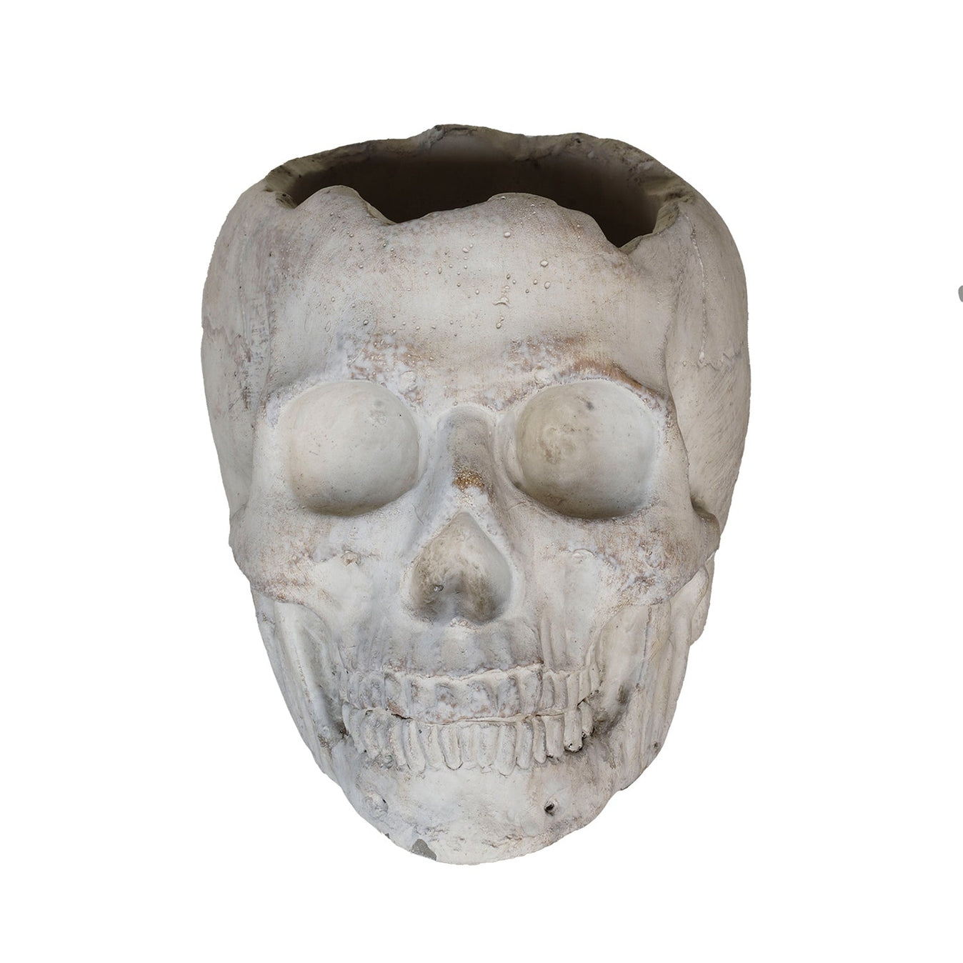 Concrete Memento Mori Skull - 2 Sizes