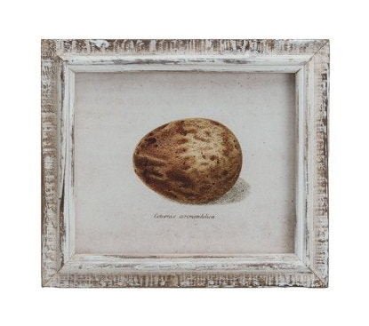 Wood Framed Vintage Egg Print, 6 Styles
