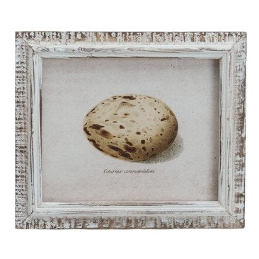 Wood Framed Vintage Egg Print, 6 Styles
