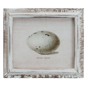Wood Framed Vintage Egg Print, 6 Styles
