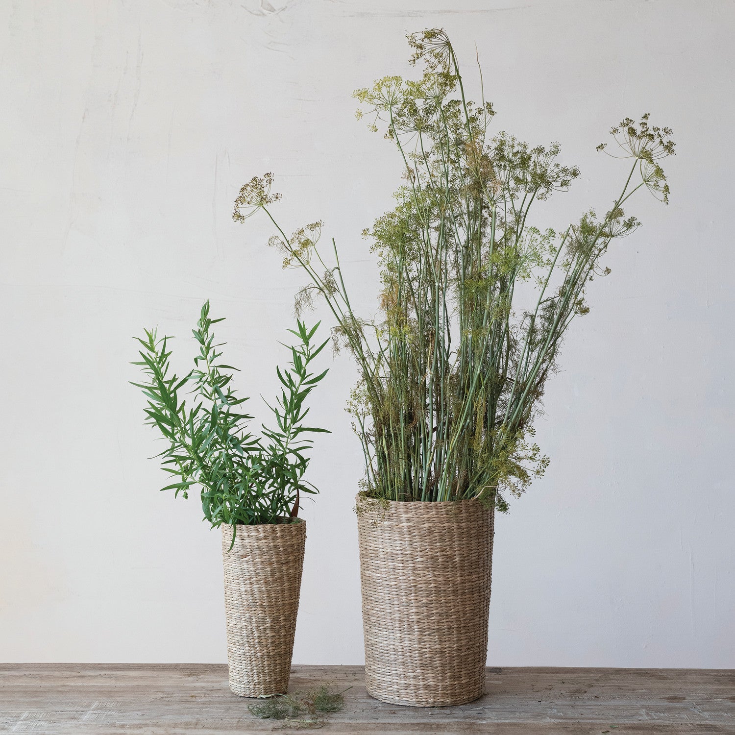 Bowls, Trays + Baskets