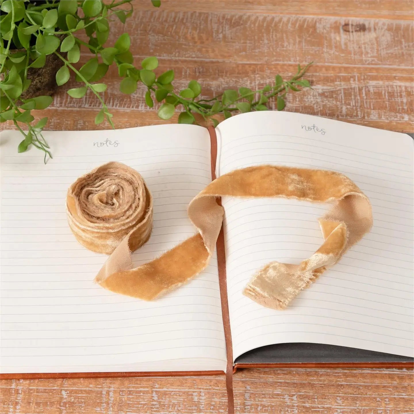 Raw Edge Velvet Ribbon - Five Colors