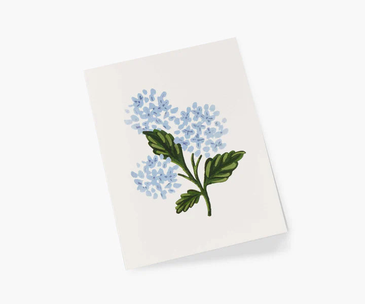 Everyday Cards - 9 Styles
