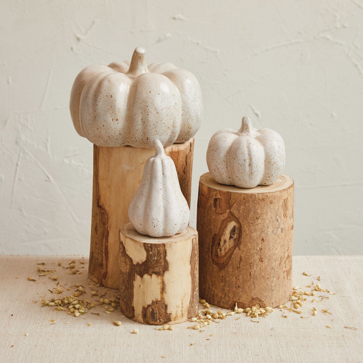 Fall Collection