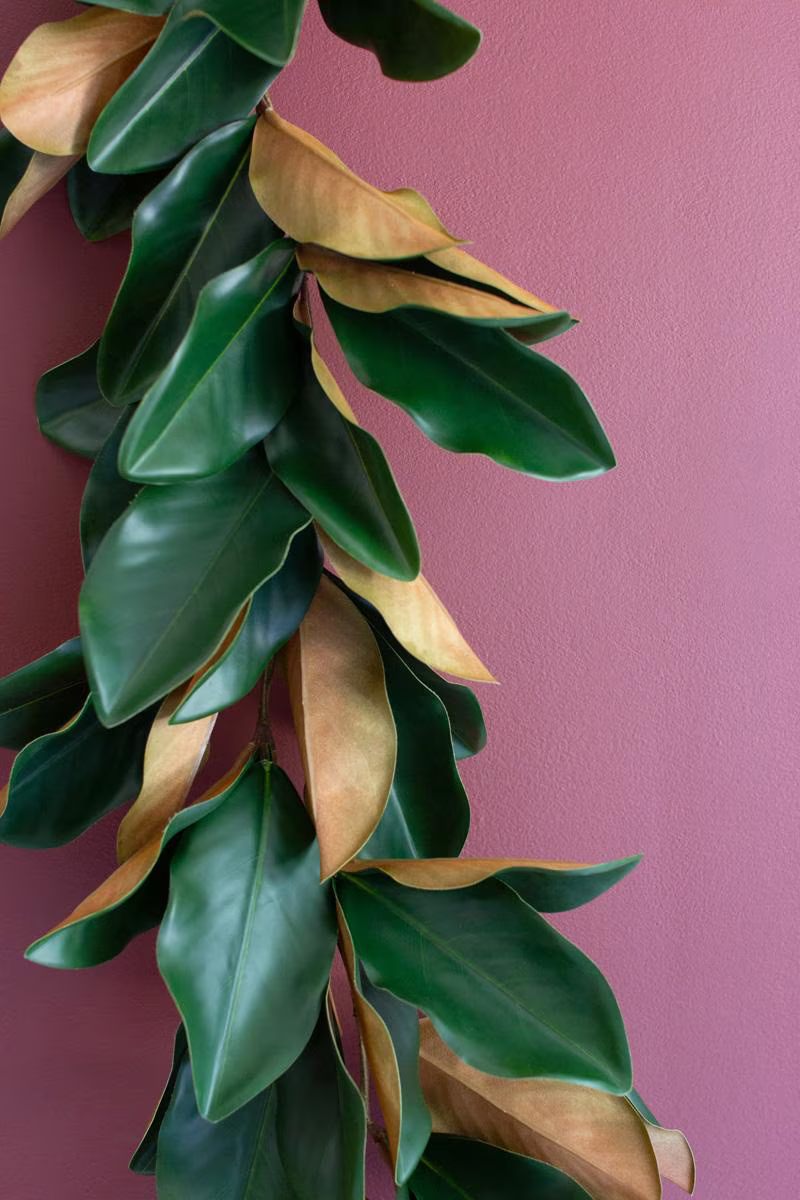 Vases + Florals