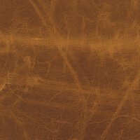 Ace Chair - 4 Styles